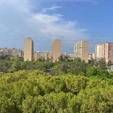 Cozy Appartement - Lumineux 3 Pieces, A Cote Du Jardin De Turia Valencia Ngoại thất bức ảnh