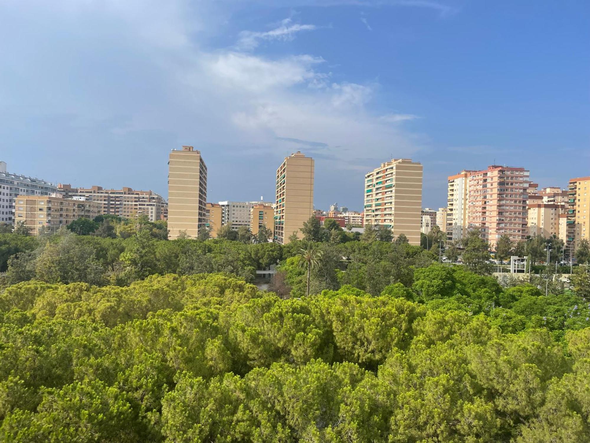 Cozy Appartement - Lumineux 3 Pieces, A Cote Du Jardin De Turia Valencia Ngoại thất bức ảnh
